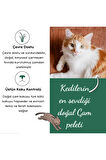 Çam Peleti sürüngen Kumu Net 5 Kg - 10 Lt - Topaklanmayan %100 Organik Cam Peledi