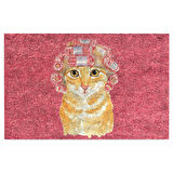 Monnhein Kapı Önü Paspası - Modern ve Şık Kapı Paspası | Ev, Ofis ve Dış Mekân Kullanımı İçin (Salon Kedisi)