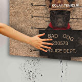 Monnhein Kapı Önü Paspası - Modern ve Şık Kapı Paspası | Ev, Ofis ve Dış Mekân Kullanımı İçin (Bad Dog)