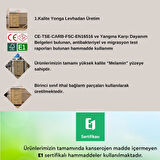 Moss Komodin Safir Meşe