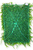 YAPAY BİTKİ DUVAR KAPLAMA 40X60 CM MODEL 1