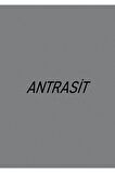 MASAÜSTÜ ORGANİZER / ANTRASİT