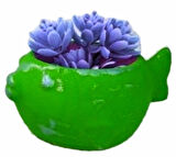 13 Cm Balık Saksı Silikon Kalıp K-753