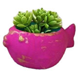 13 Cm Balık Saksı Silikon Kalıp K-753