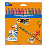 BIC Evolution Stripes Kuru Boya Kalemi 24'lü
