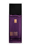 Black Suede Charm Erkek Parfüm EDT 100 ml