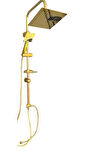 FULL GOLD ROBOT DUŞ SETİ
