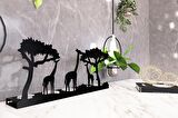M&C Concept Safari 5'li Metal Mumluk - Siyah