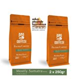 Odiyesi Mostly Sumatra Filtre Kahve 2x250gr