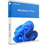 Windows 11 Pro Lisans Retail Lisans Anahtarı