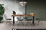 CAKARTA MASA + SİYAH TEL SANDALYE TAKIMI,, 180x80