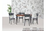 DAMLA SABİT MASA VE KAPALI KELEBEK SANDALYE TAKIMI, ANTRASİT, 125x80