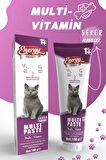 Multi Paste 100gr Multivitamin Malt (Bağışıklık Sistemi Destekleyici Tüy Yumağı Önleyici)