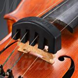 Stromberg Keman Yastığı 4/4 + Ömercan 1 + Kauçuk Keman Susturucusu + Reçine