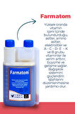 Munich Vet 2'li Set Kuşlar Için Farmatom Vitamin (1 LT) Neftor Hırıltı (500 ml)