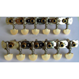 MAXTONE GM66S