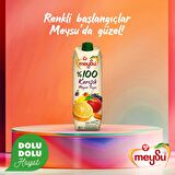 Meysu %100 Karışık Meyve Suyu 1 Lt 