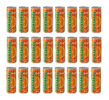 Meysu Portakal Aromalı Gazoz 330 Ml X 24 Adet