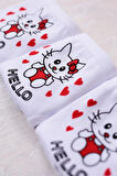 Gümüş 3'lü Kız Çocuk Hello Kitty Desenli Slip Külot