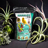 1 kg Gelişim Maması Tem Profesyonel