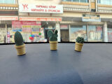 Otomobil Torpido Süsü Kaktüs Sukulent Cactus Succulent Süsü 3'Lü Ürün