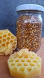 MuÇa Arı Poleni 100 gr
