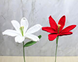 El Örgüsü Zambak Çiçeği