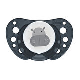 Chicco PhysioForma Air 2'li Silikon Emzik 16-36 Ay