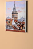 Sayılarla Boyama Seti Kasnaklı Galatada Martı 40 X 50 Cm