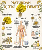 Altın Otu Doğal 3 Demet