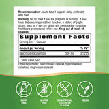 Nature's Way Niacinamide(NİACİN) B3 Non-Rhine (NON-FLUSH) 500 mg 100 Capsules