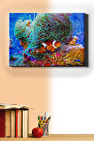Sayılarla Boyama Seti Kasnaklı Kayıp Balık Nemo 50 X 65 Cm