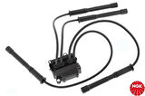 NGK 48007 Ateşleme Bobini Buji Kablolu Renault Clio II Twingo Kangoo Symbol 1.2 16V D4F 01- 8200025256