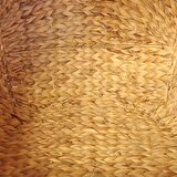 Bohem Su Sümbülü Büyük Kedi Evi Iskandinav, Modern, Rattan