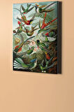 Sayılarla Boyama Seti Kasnaklı Kuşlar 50 X 65 Cm