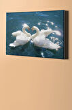 Sayılarla Boyama Seti Kasnaklı Kuğuların Saf Aşkı 60 X 75 Cm