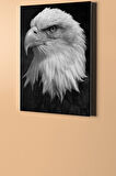 Sayılarla Boyama Seti Kasnaklı Beyaz Kartal 60 X 75 Cm