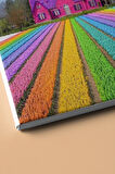 Sayılarla Boyama Seti Kasnaklı Gökkuşağı Tarlası 40 X 50 Cm