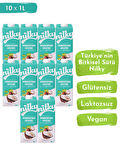 Nilky Hindistan Cevizi Sütü Glütensiz Bitkisel Bazlı Laktosuz Vegan 10x1 lt