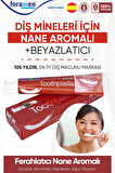 Foramen Diş Mineleri İçin Nane Aromalı Beyazlatıcı VEGAN Diş Macunu