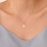 925 Ayar Altın Mikron Kaplama Ayyıldız Gümüş Kolye - CN00397