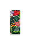 Yağmur Ormanları Kolonya 400 ml