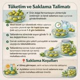Neshil Doğal Fermente El Kırması Sofralık Yeşil Zeytin 3 Kg (Ayvalık Cinsi)