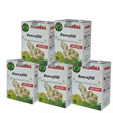 Nursima Zencefilli Organik Bardak Poşet Bitki Çayı 16 gr 40'lı 