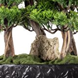 Navis Bonsai Garden - Iç Ve Dış Mekan Kullanımına Uygun Premium Kalitede Yapay Bitki 70x50 Cm