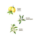 Eyüp Sabri Tuncer Kolonya Pet Şişe Sprey 150 ml Limon