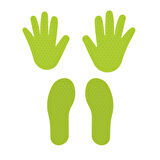 03 707 EL ve AYAK DENGE OYUNU KIRMIZI-SARI-MAVİ