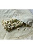 Börek İçi Nefis Peynirli Börek Harcı Pratik Hazır Kolay