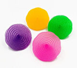 Mini Saç Yıkama Fırçası