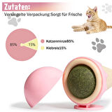 Dondurma Şeklinde Kedi Otu Nanesi